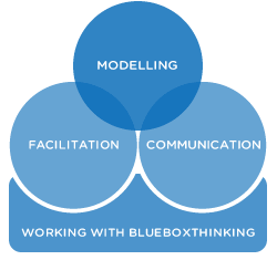 Facilitation/Modelling/Communication